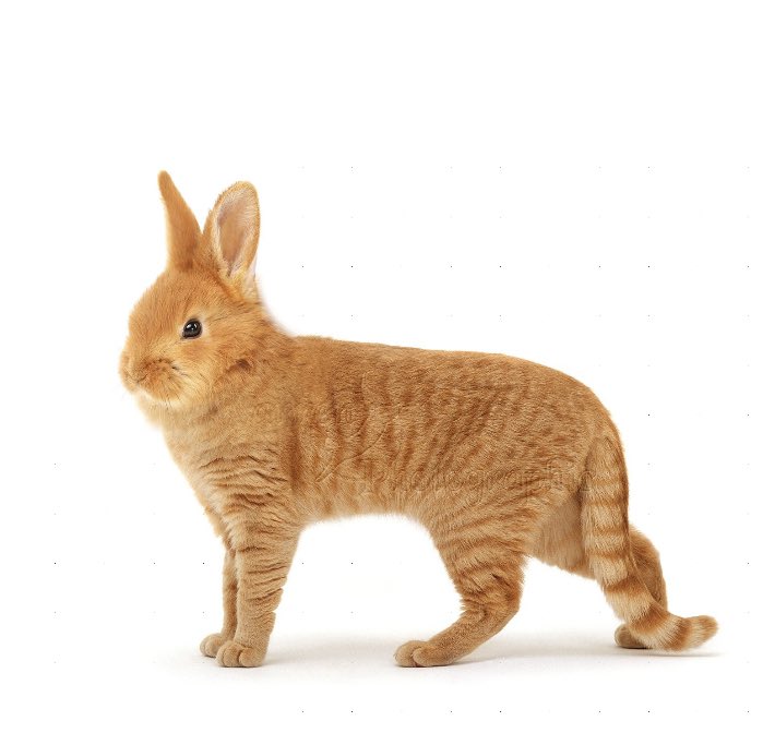 Dismantling Myths: Creativity in Business Strategy